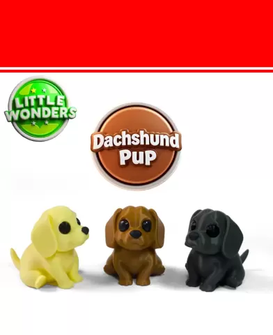 Dachshund Pup