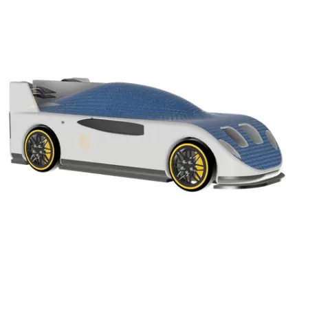 Auto remote controll Le MANS
