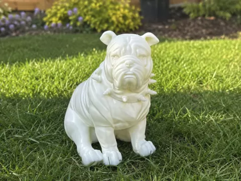 British Bull Dog