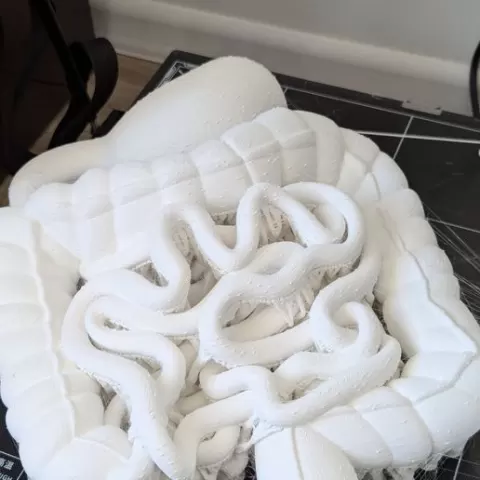 Digestive system