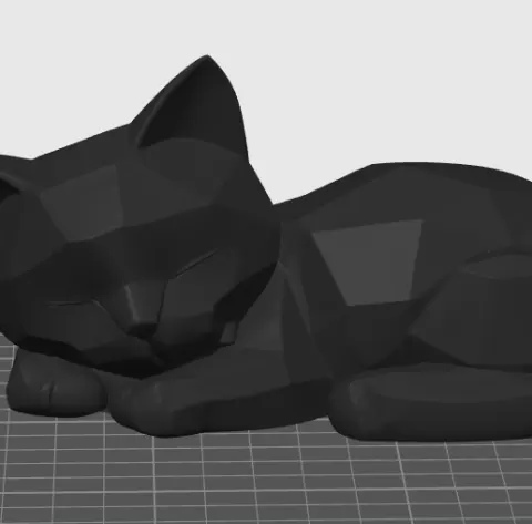 slepy cat