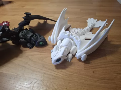 Toothless' girlfriend