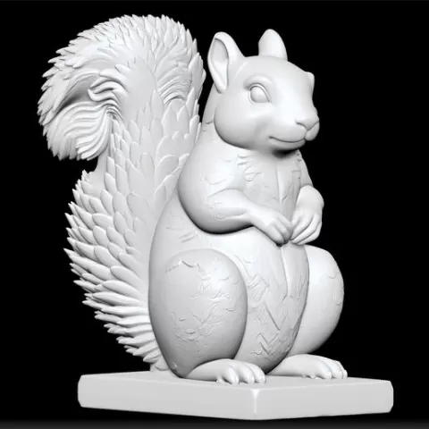 Squirrel