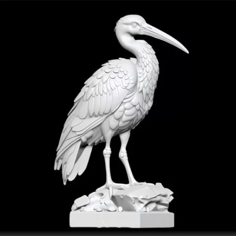 Crane Bird