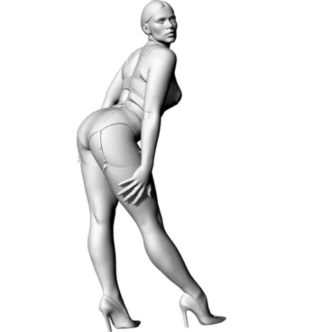 Fitness Model