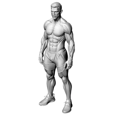 Gym Model