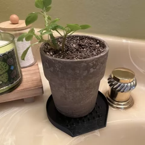 Drain Tray