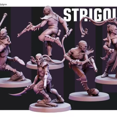 Strigois 2