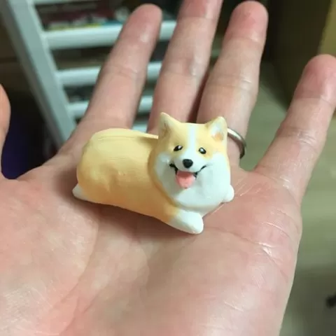 Welsh Corgi