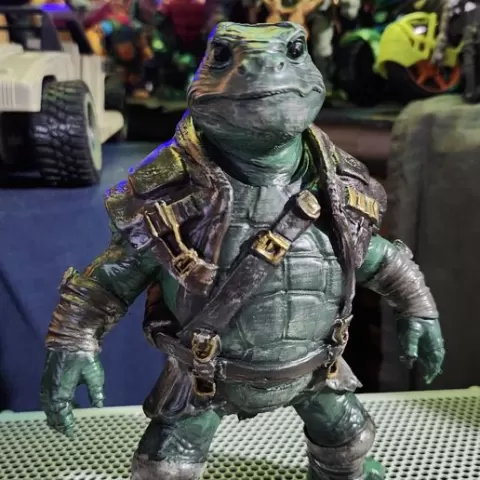 Battle ready ninja turtle
