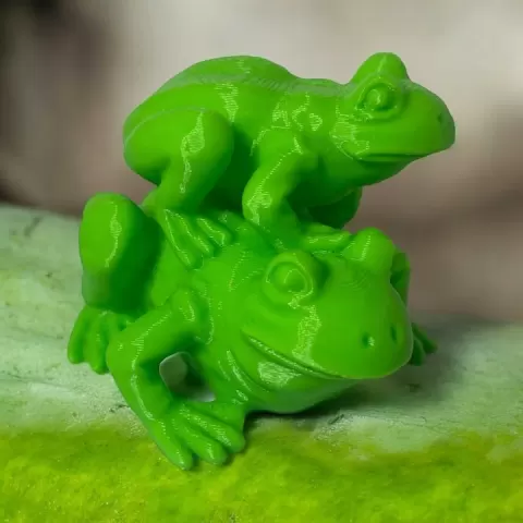 Frog x2 by anthony