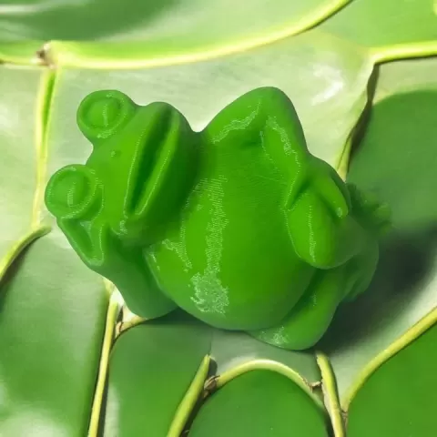Frog cool by anthony