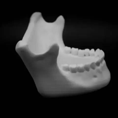 Human Jaw bowl by Lantern Lore