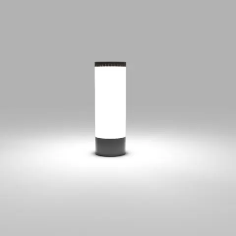 Light bulb