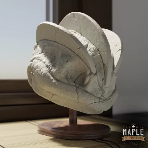 Machamp Skull - Solid & Hollow - Pokemon