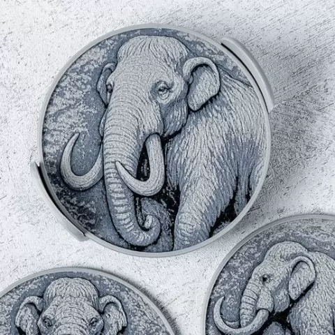 Mammoth Coasters
