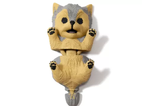 yorkshire terrier flexi
