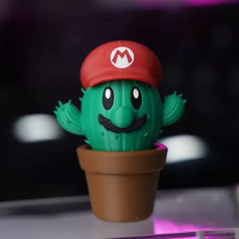 Mario Cactus
