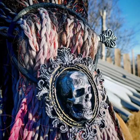 Brooch pin.