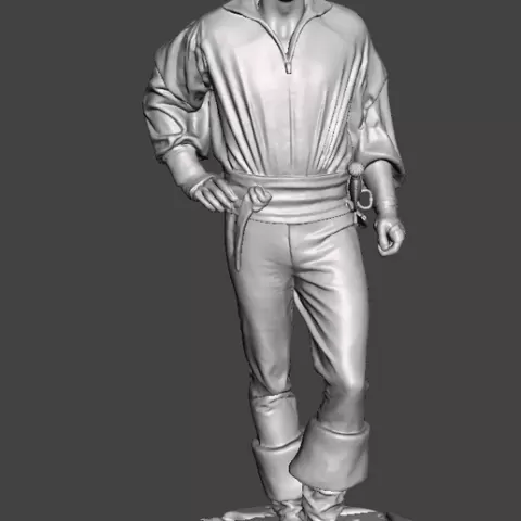 Figure Inspired by the movie The Princess Bride Westley (Dread Pirate Roberts)
