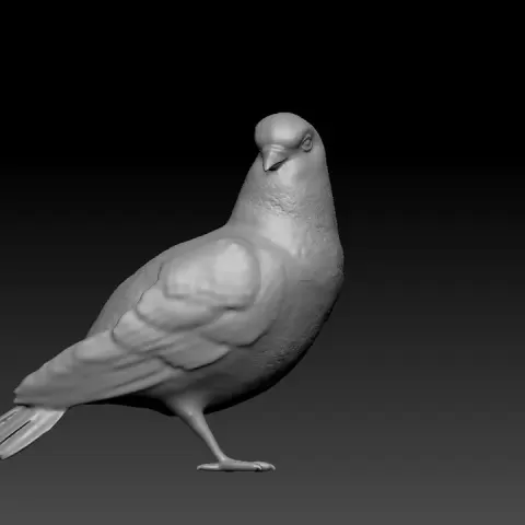Detailed Pigeon Miniature for Nativity & Diorama – 3D Printable Bird by Antonio Frisenda