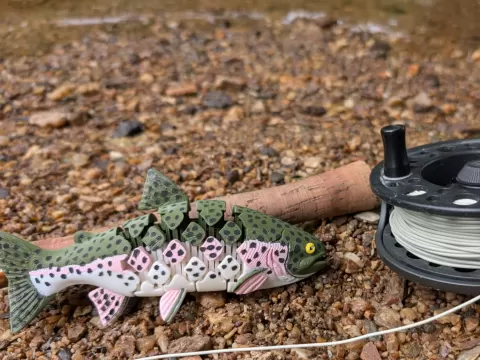 Articulated Rainbow Trout