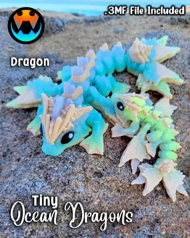 Tiny Ocean Dragon and Wyvern