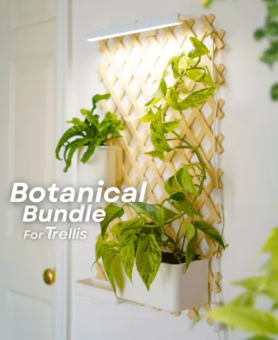 Botanical Bundle for Trellis
