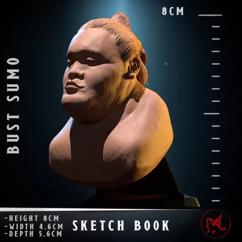 Bust Sumo by 3D Container