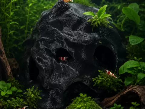 Aquarium Fels-Höhle