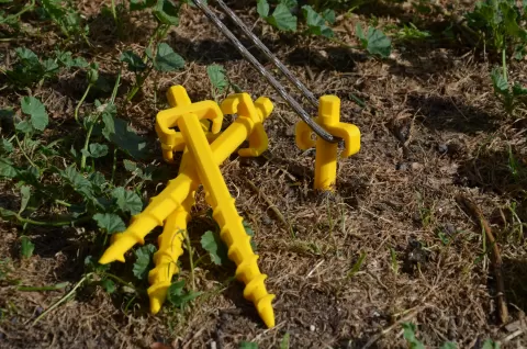 Tent peg