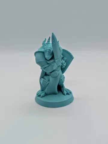 Dragonborn Paladin FDM supportless