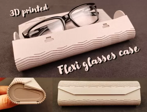 Flexi glasses case