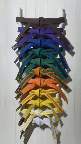 Modular Martial Arts Belt Holder