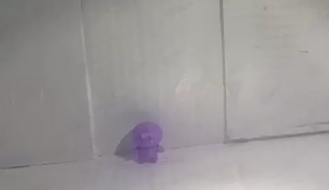 lil dude