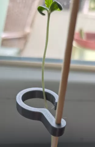 Planthook for 3mm skewer