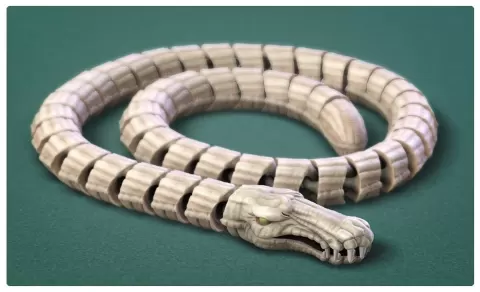 Flexi Dragon Snake