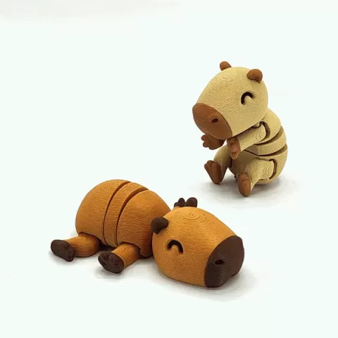 Tiny Capybara