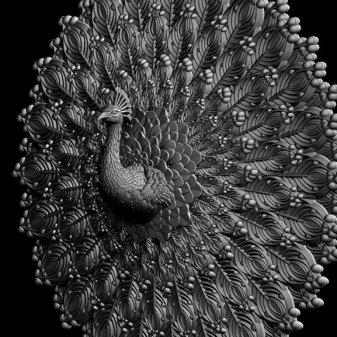 peacock by Dmitry Tishchenkov