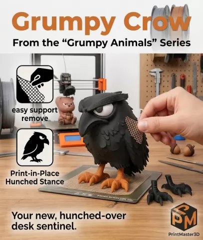 "Grumpy Crow" From "grumpy animals"