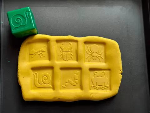 Senzory Texture Cube | Reptile and Insect
