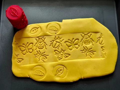 Senzory Texture Roller | Insect