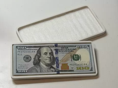 US Dollar Bill Case for International Travel (holds up to 30x USD banknotes)