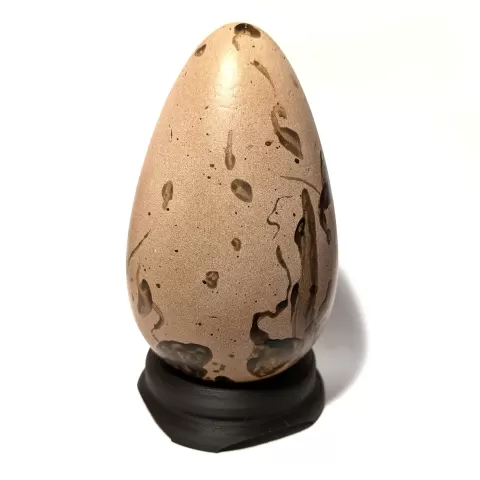 Great Auk (Pinguinus impennis) Egg and Display Stand