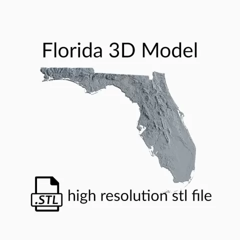 USA State of Florida Topographic Map - 3D Terrain Elevation - Relief Map - Topography of Florida by Robin Schmezko