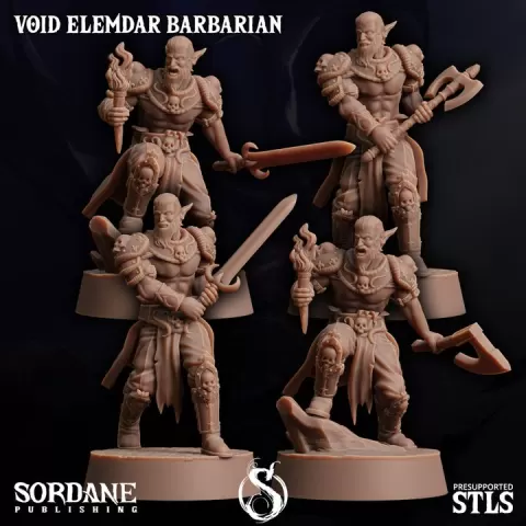 Void Elemdar Barbarian by Sordane Publishing