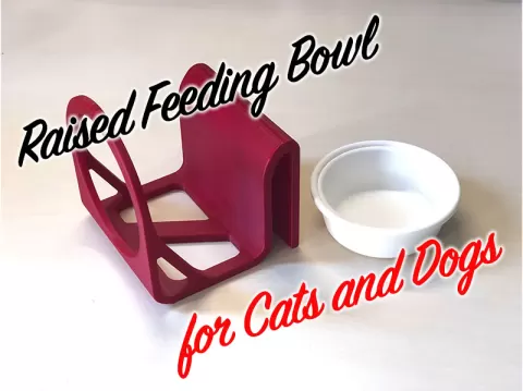 Raised Feeding Bowl for Cats and Small Dogs