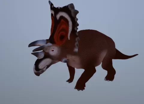 Cryptarcus