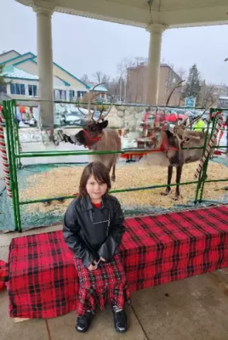 reindeer