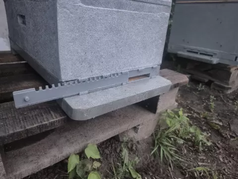 Bee Hive Entrance Reducer (beehive)